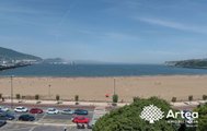Vistas