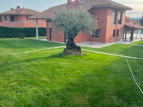 Primera foto del inmueble