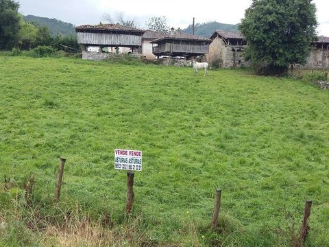 First photo of the property