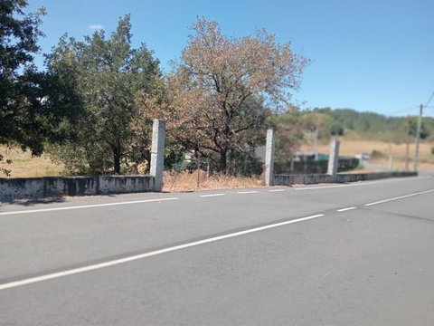 Primera foto del inmueble