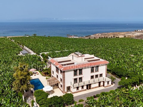 12-bedroom freehold villa in Guía de Isora — photo 1 of 5