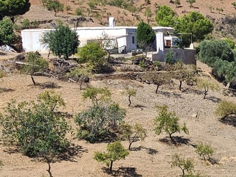 First photo of the property