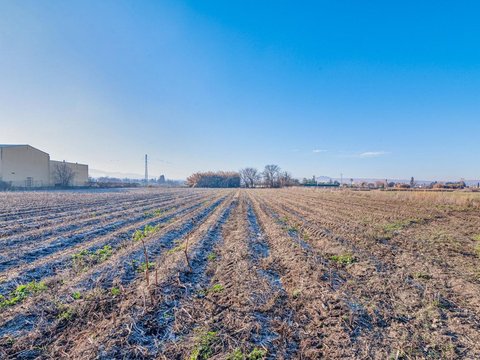 Перша фотографія об’єкта нерухомості