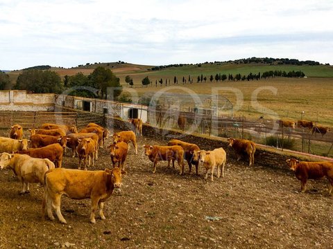 First photo of the property