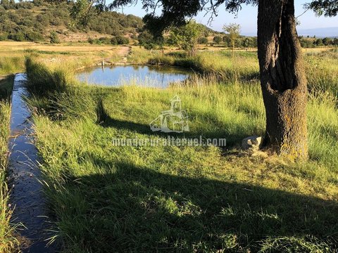 First photo of the property