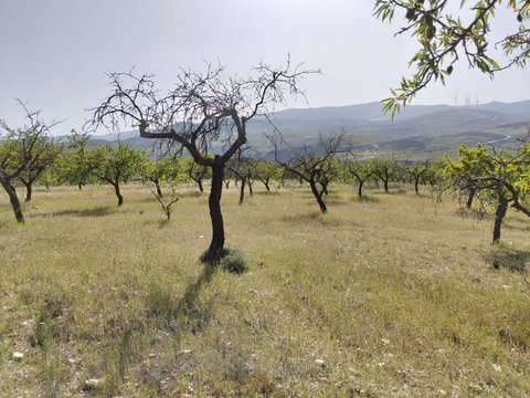 Primera foto del inmueble
