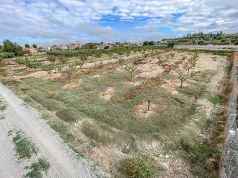 Перша фотографія об’єкта нерухомості