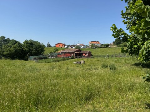 First photo of the property