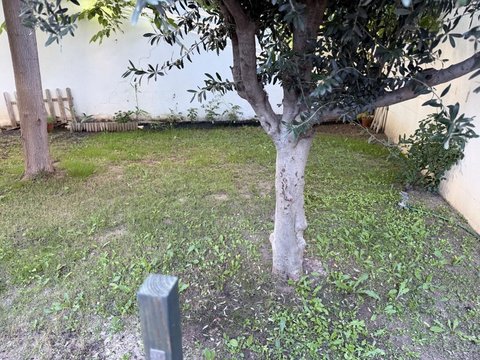 First photo of the property
