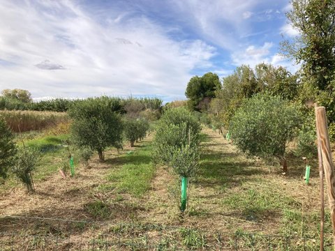 First photo of the property