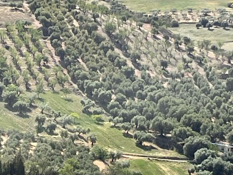 First photo of the property