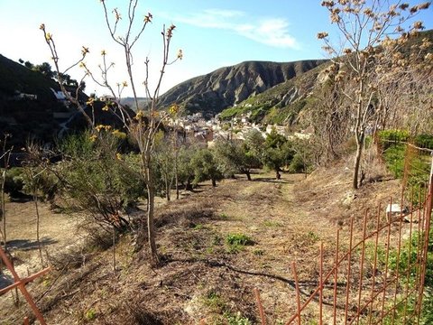 First photo of the property