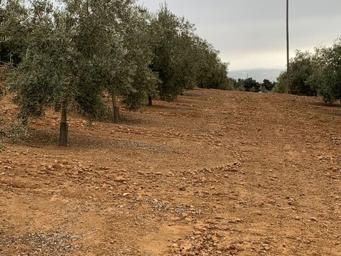 First photo of the property