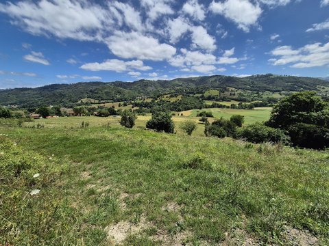 First photo of the property