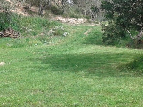 First photo of the property