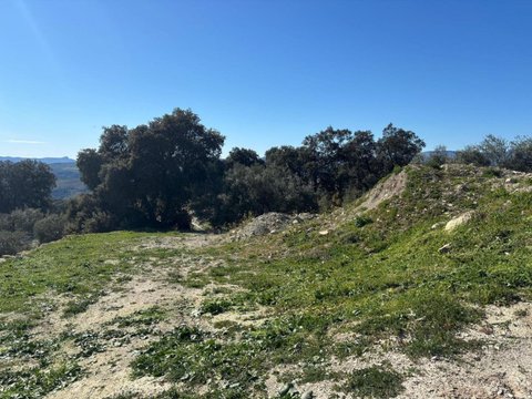 First photo of the property