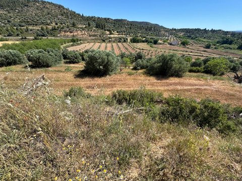 First photo of the property