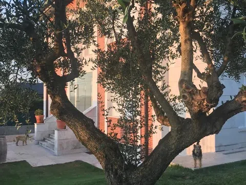 Fotografía del inmueble reportado: 5.175 €/mes — La Rioja, La Rioja