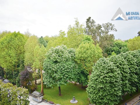 Перша фотографія об’єкта нерухомості