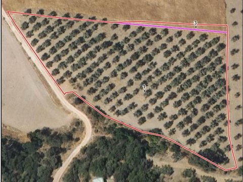 First photo of the property