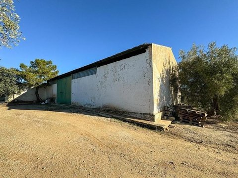 First photo of the property
