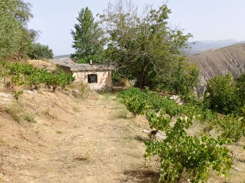 First photo of the property