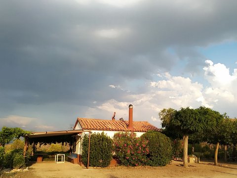 Prima foto dell'immobile