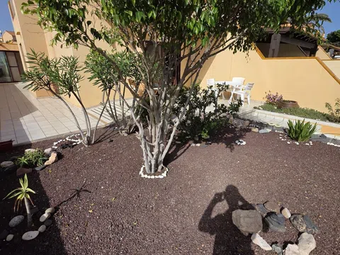Fotografía del inmueble reportado: 1.750 €/mes — Las Palmas, Las Palmas