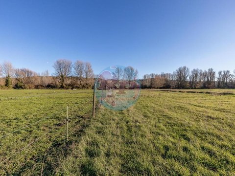 Перша фотографія об’єкта нерухомості