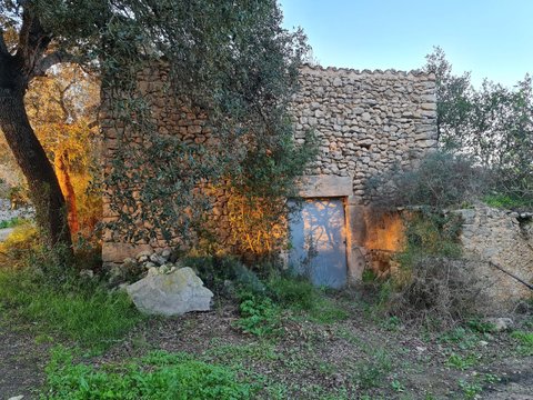First photo of the property