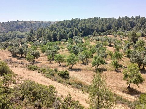 First photo of the property