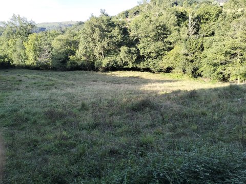 First photo of the property
