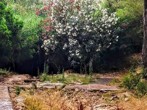 First photo of the property