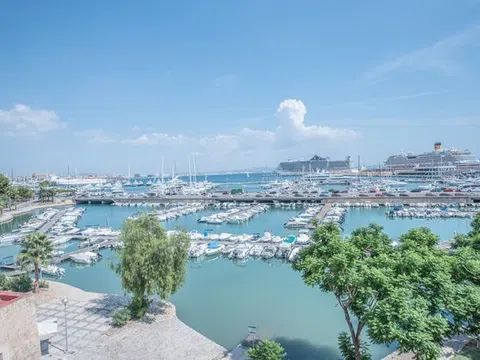 Fotografía del inmueble reportado: 2.990 €/mes — Palma de Mallorca, Palma de Mallorca