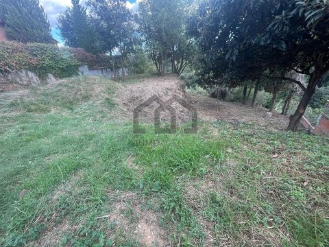 Primera foto del inmueble
