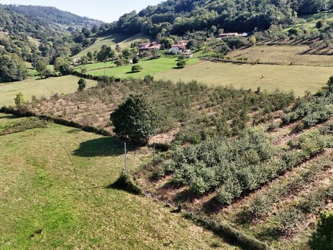 First photo of the property