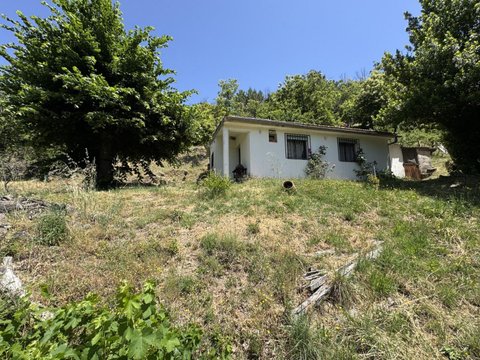 Primera foto del inmueble