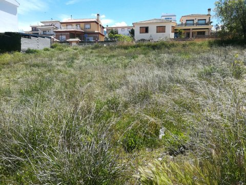 First photo of the property