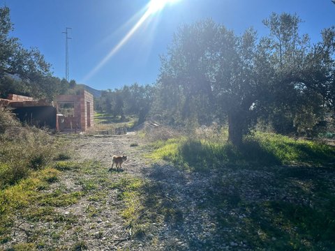 Primera foto del inmueble