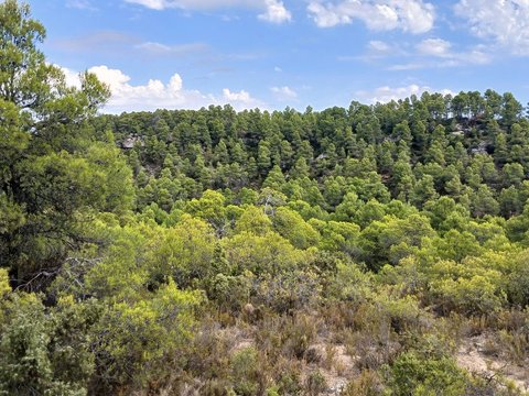 First photo of the property