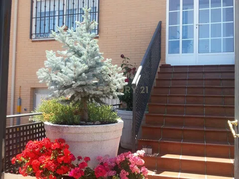 Fotografía del inmueble reportado: 1.500 €/mes — Cáceres, Cáceres