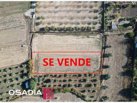 Primera foto del inmueble