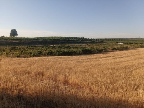 Primera foto del inmueble