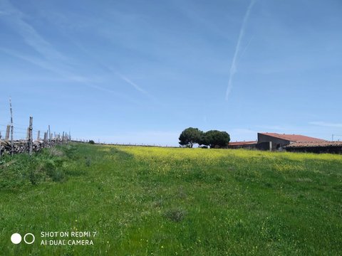 Primera foto del inmueble