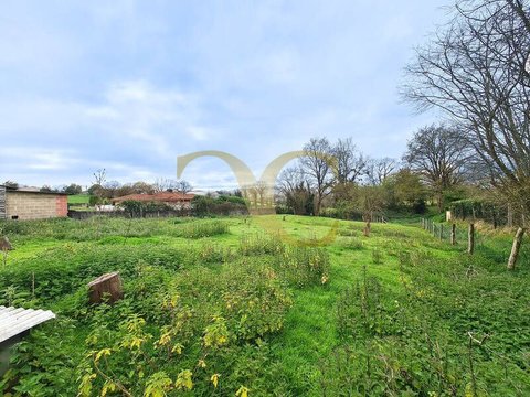 First photo of the property