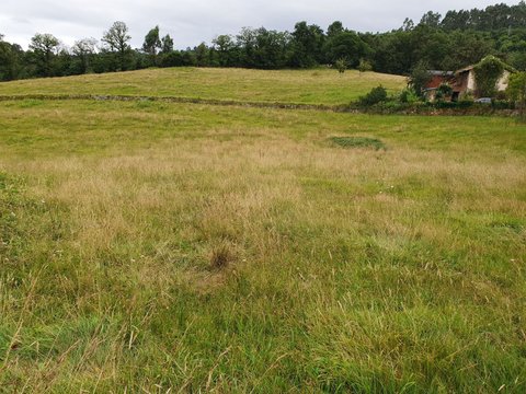 First photo of the property