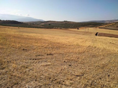 Перша фотографія об’єкта нерухомості