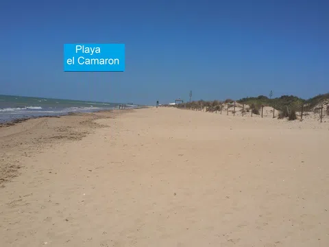 Fotografía del inmueble reportado: 1.500 €/mes — Cádiz, Cádiz