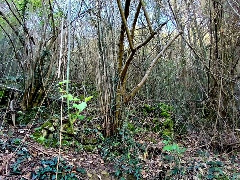 First photo of the property