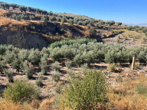 First photo of the property